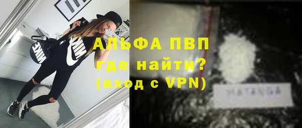 ПСИЛОЦИБИНОВЫЕ ГРИБЫ Осташков