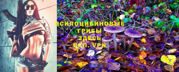 ПСИЛОЦИБИНОВЫЕ ГРИБЫ Осташков