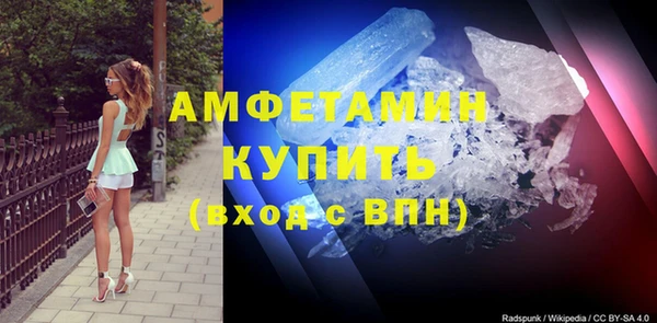 ПСИЛОЦИБИНОВЫЕ ГРИБЫ Осташков