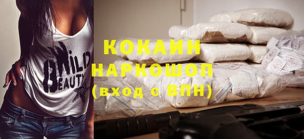 ПСИЛОЦИБИНОВЫЕ ГРИБЫ Осташков